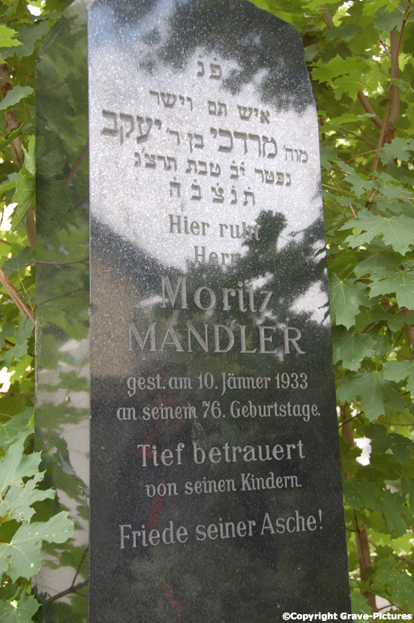 Mandler Moritz