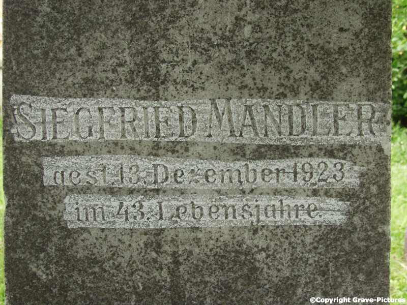 Mandler Siegfried