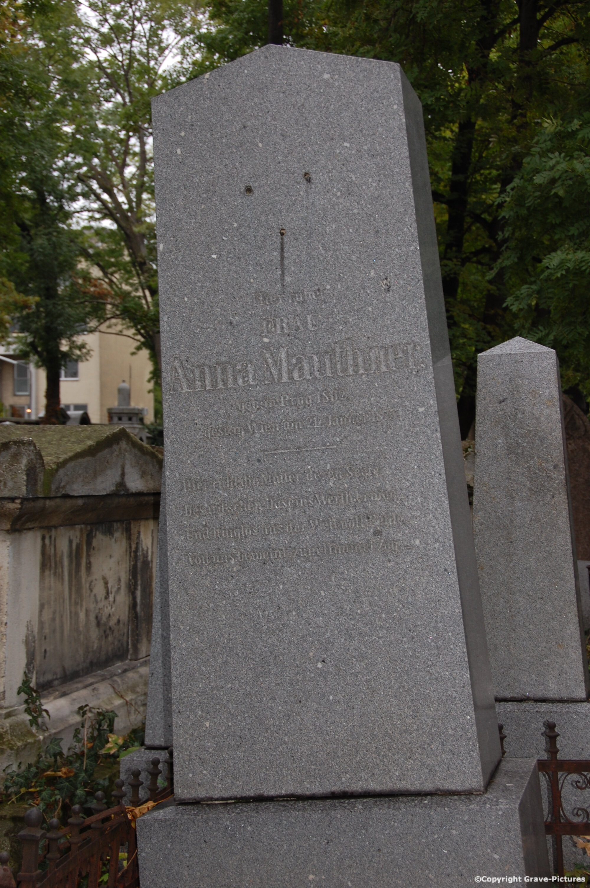 Mauthner Anna