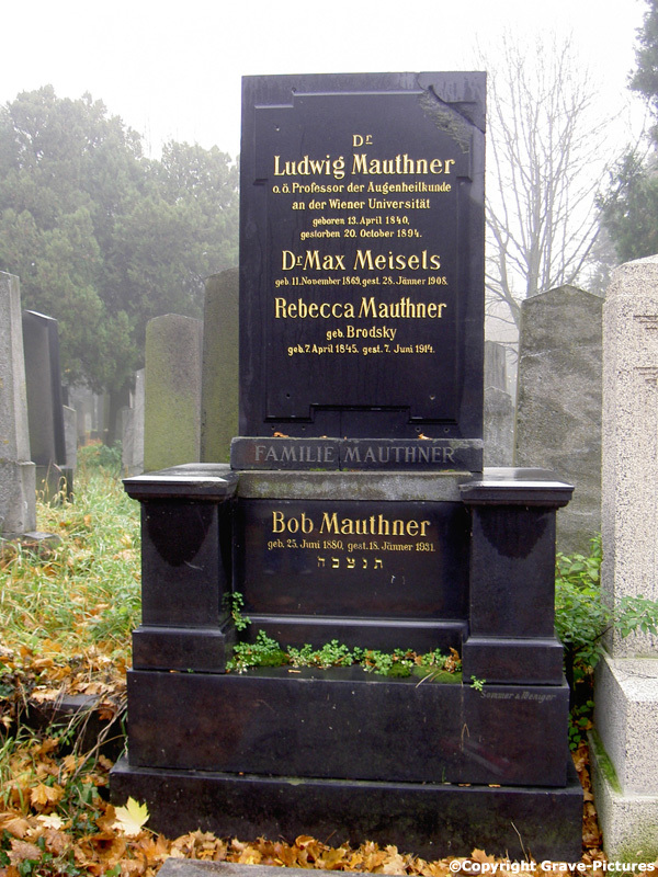 Mauthner Ludwig Dr.