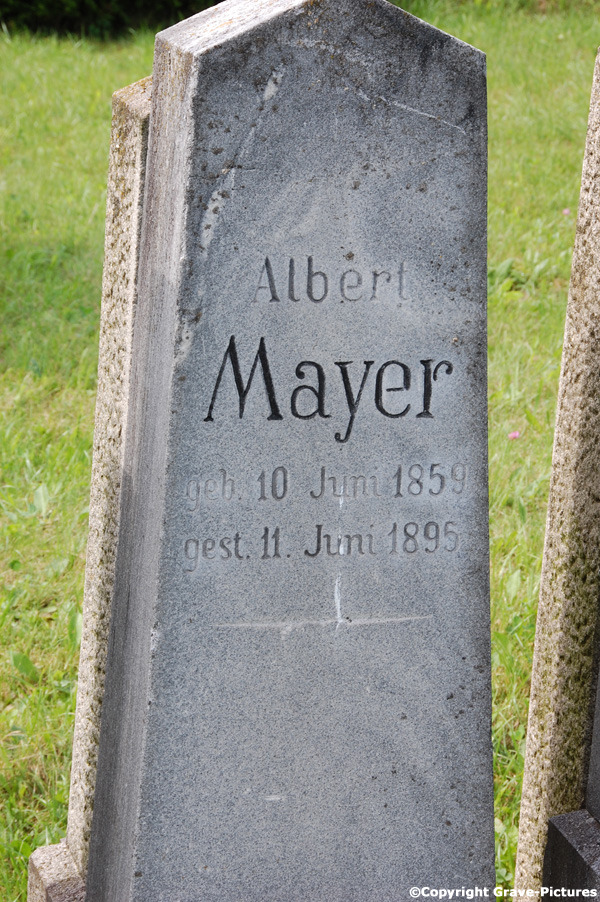 Mayer Albert