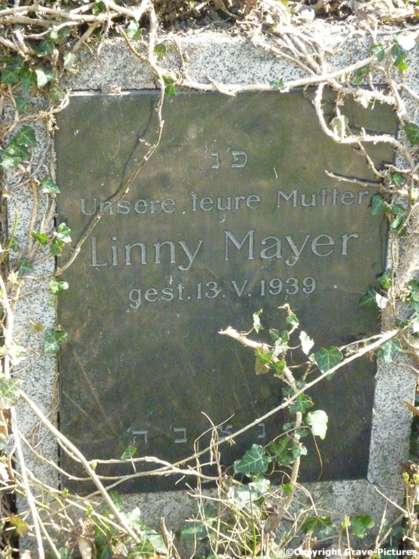 Mayer Linny