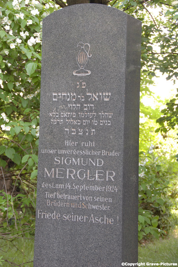 Mergler Sigmund