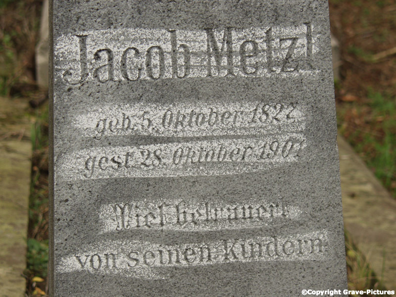 Metzl Jacob