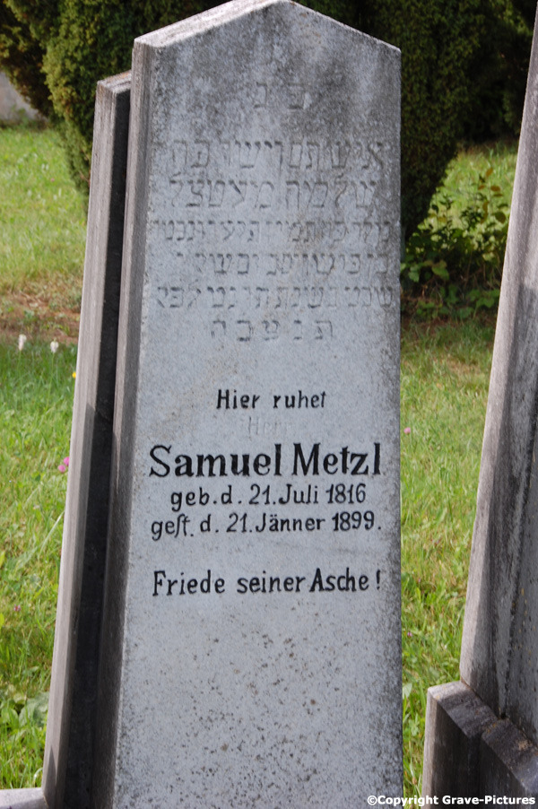 Metzl Samuel