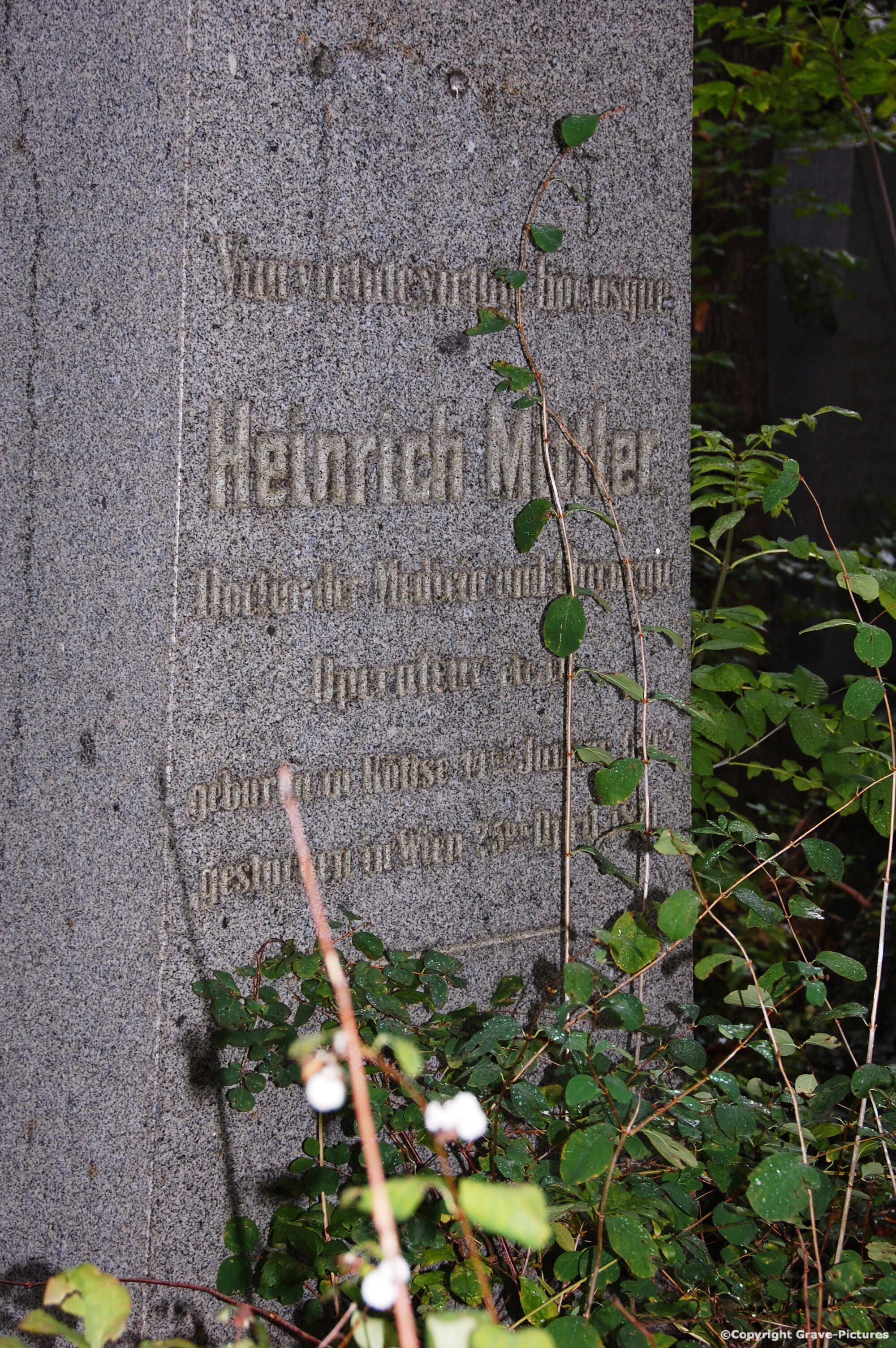 Mittler Heinrich Dr.