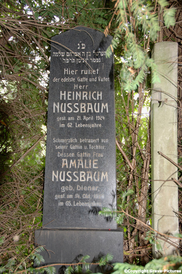 Nussbaum Heinrich