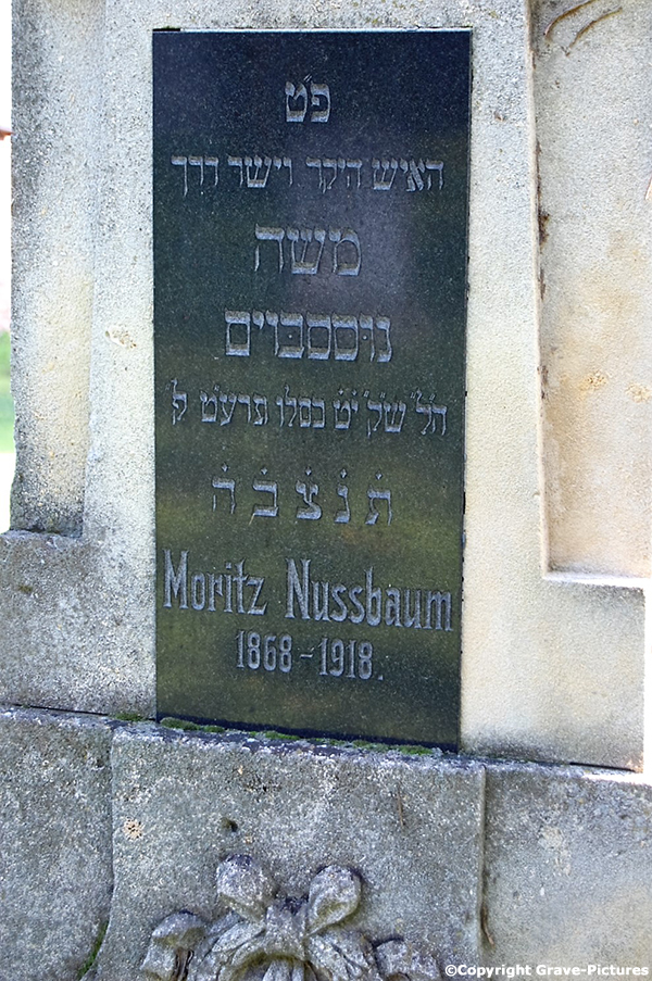 Nussbaum Moritz