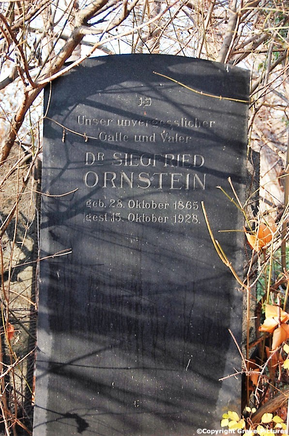 Ornstein Siegfried Dr.