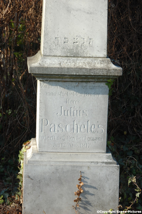 Pascheles Julius