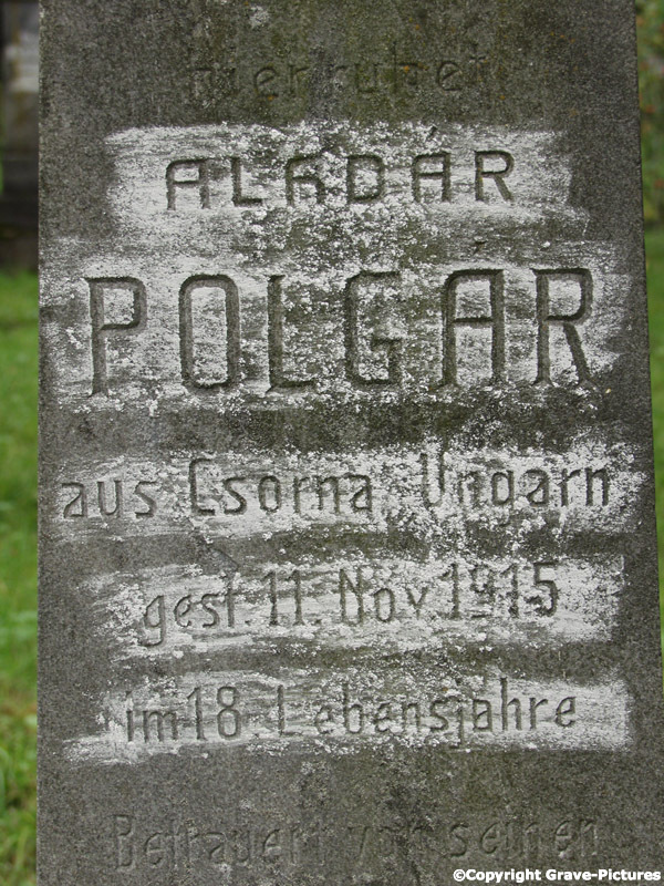 Polgar Algdar