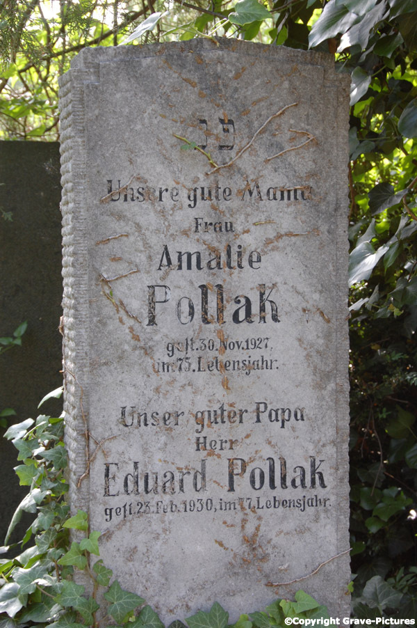 Pollak Amalie