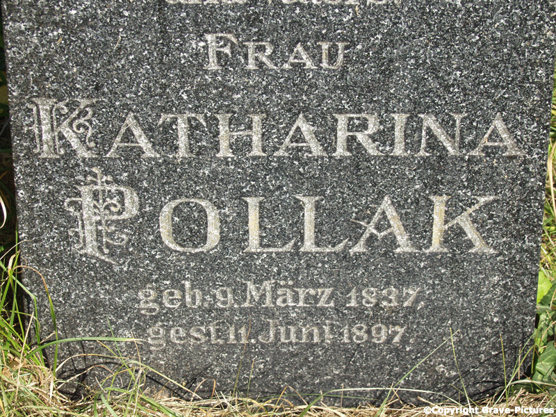 Pollak Katharina