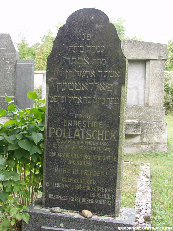 Pollatschek Ernestine