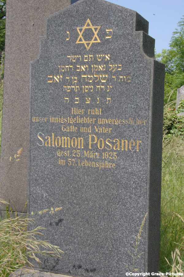 Posaner Salomon