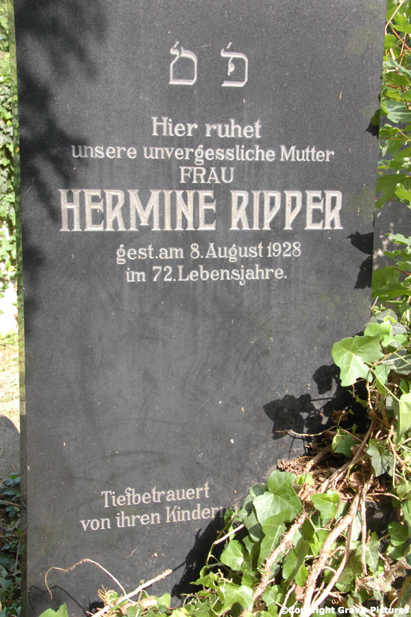 Ripper Hermine