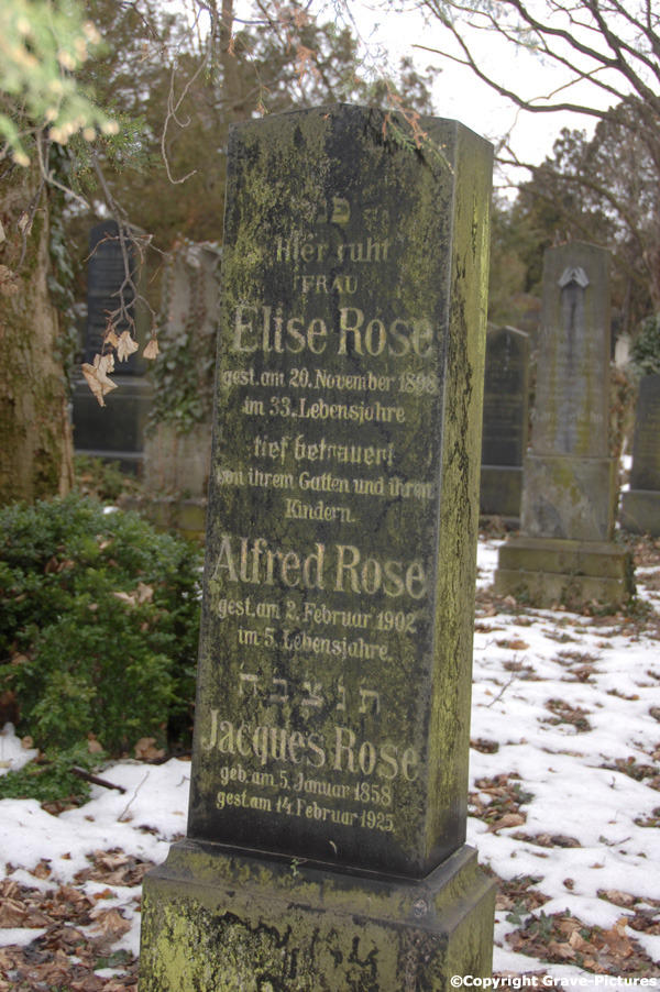 Rose Alfred