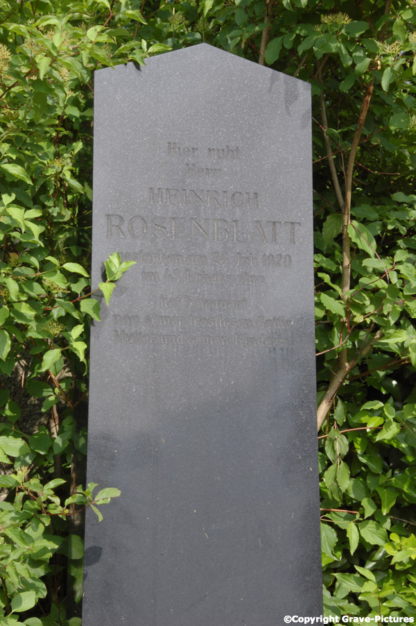 Rosenblatt Heinrich