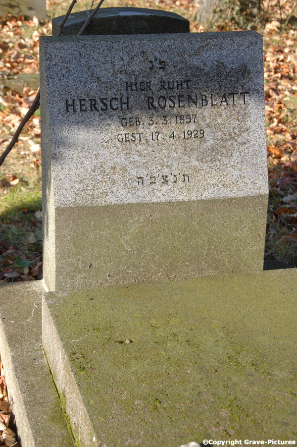 Rosenblatt Hersch