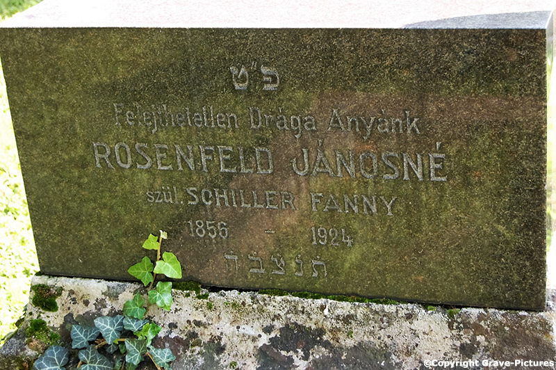 Rosenfeld Janosne