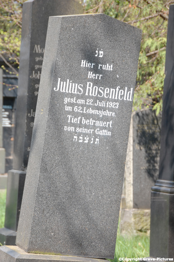 Rosenfeld Julius