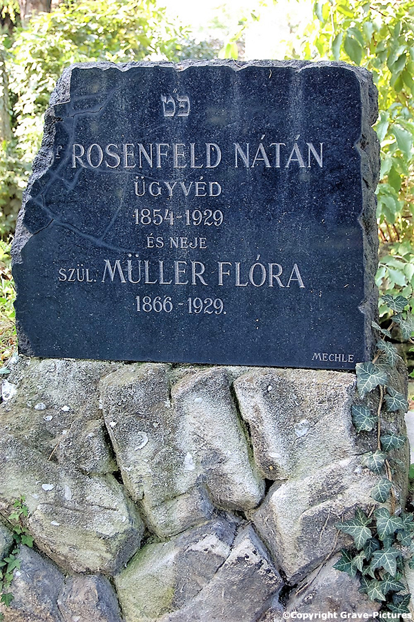 Rosenfeld Natan Dr.