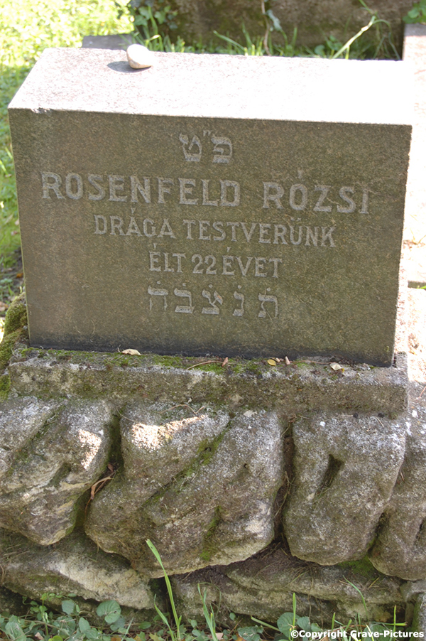 Rosenfeld Rozsi