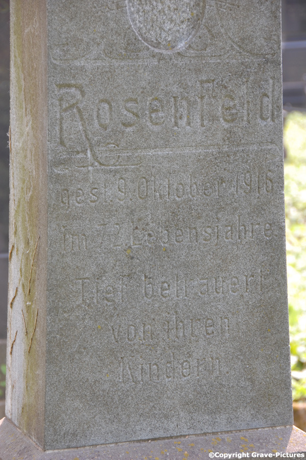 Rosenfeld Wilhelmine