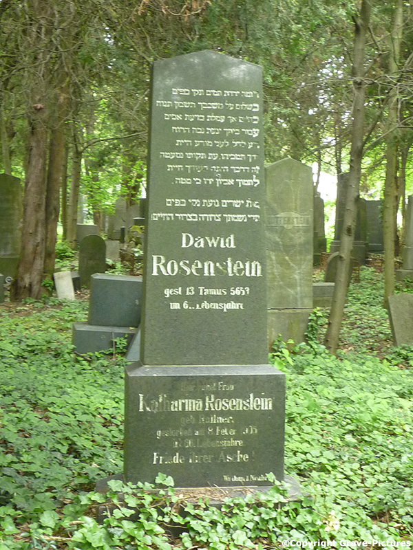 Rosenstein Katharina