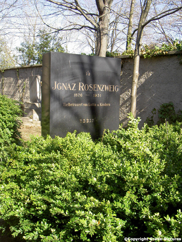 Rosenzweig Ignaz