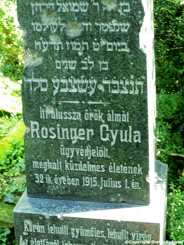 Rosinger Gyula