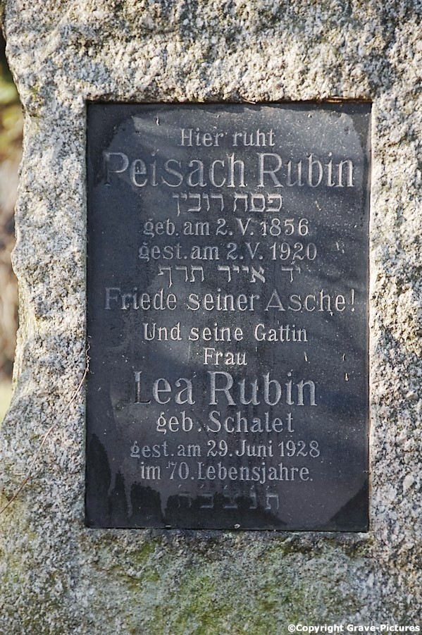 Rubin Peisach