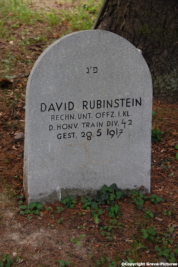 Rubinstein David