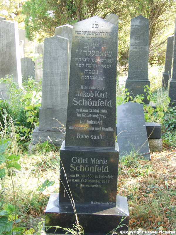 Schönfeld Jakob Karl