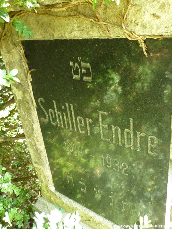 Schiller Endre