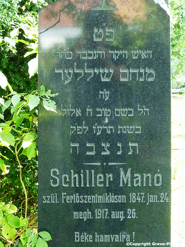 Schiller Mano