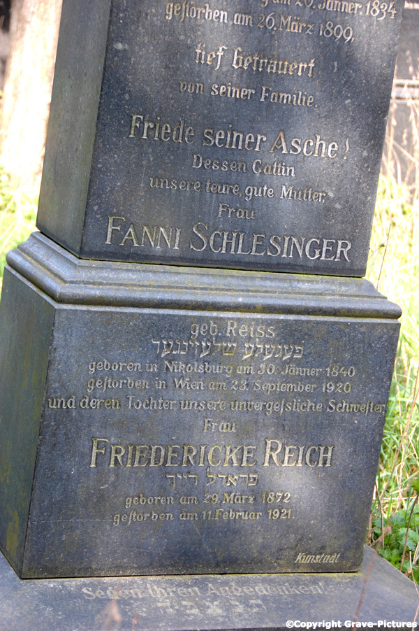 Schlesinger Fanni