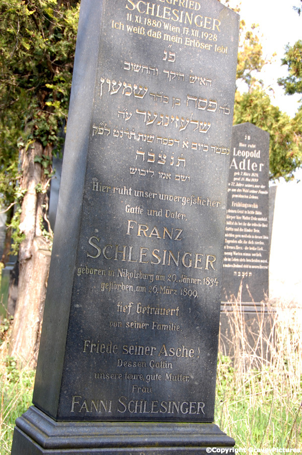 Schlesinger Franz