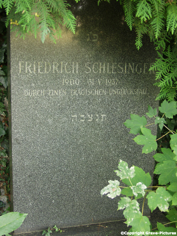 Schlesinger Friedrich