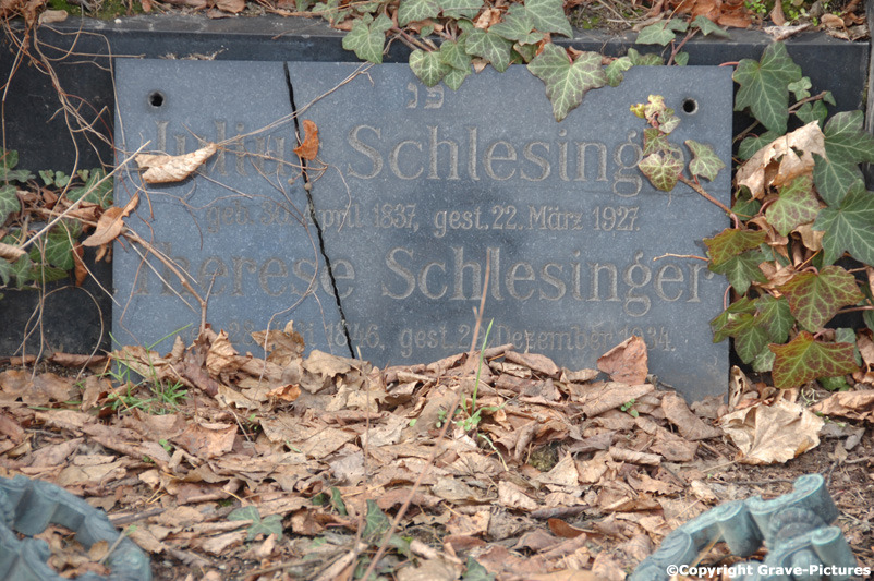 Schlesinger Julius