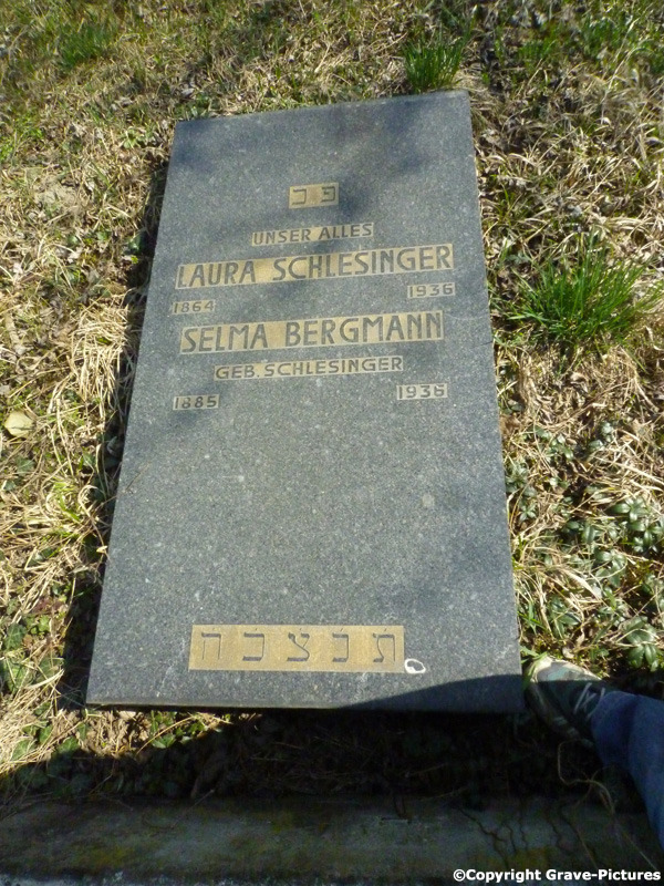 Schlesinger Laura