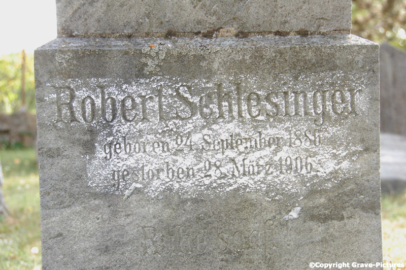 Schlesinger Robert