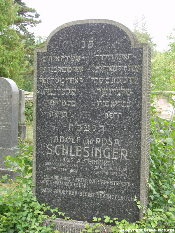 Schlesinger Rosa