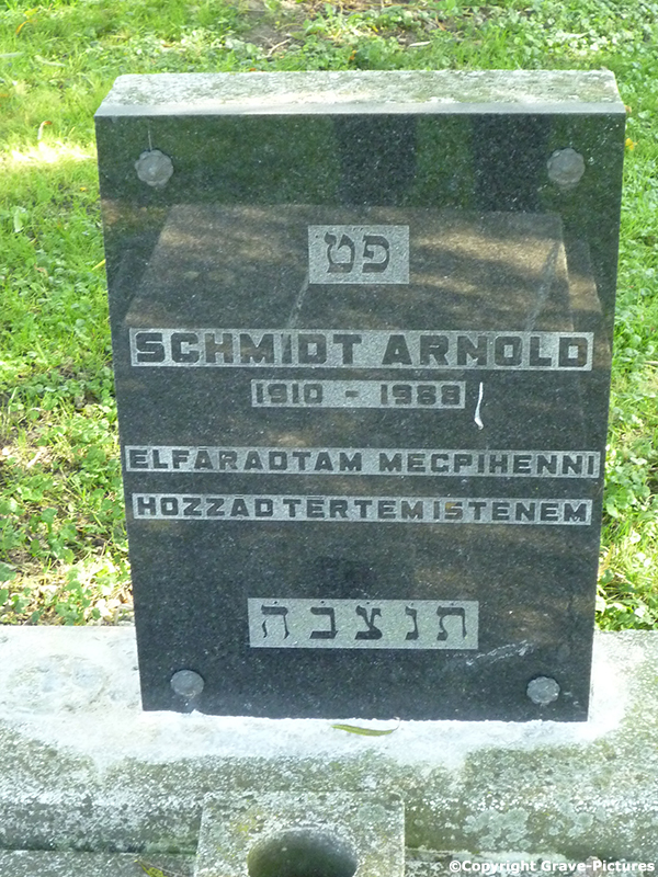 Schmidt Arnold