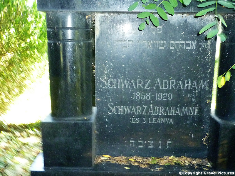 Schwarz Abrahamne