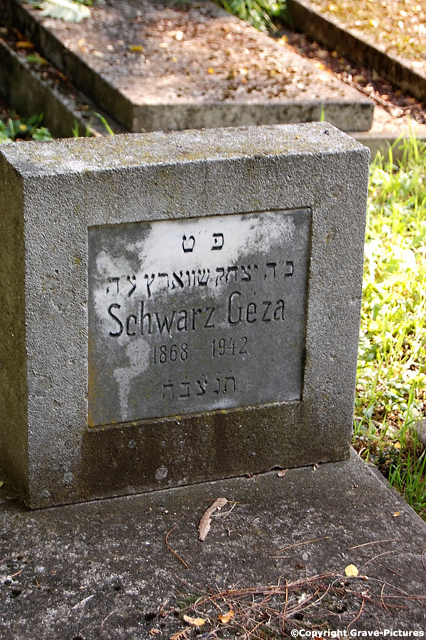 Schwarz Geza