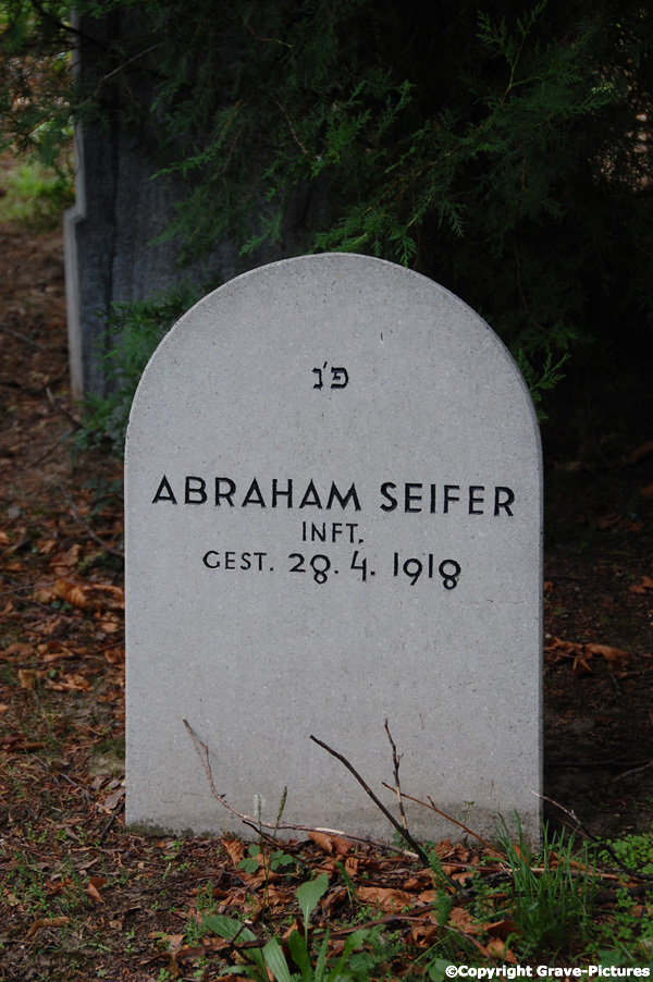 Seifer Abraham