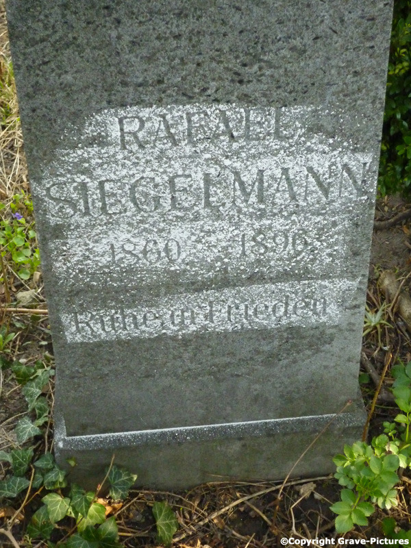 Siegelmann Rafael
