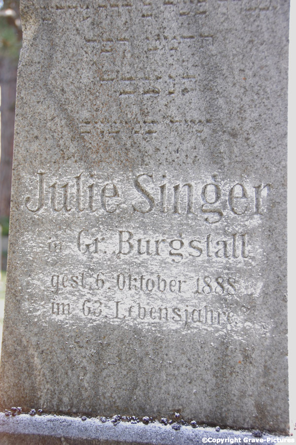 Singer Julie