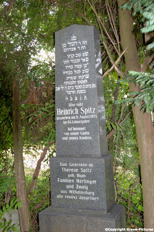 Spitz Heinrich